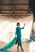 Anam Akhlaq | Festive Collection | D-48 - by - Libasekhas UK - Registered Vendor of : Anam Akhlaq - 100% Original Designer Dresss