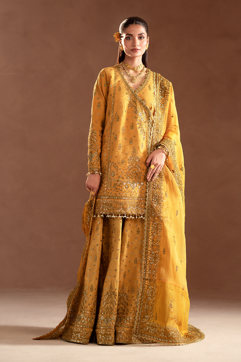Emaan Adeel | Selene Formals | VELORIA - by - Libasekhas UK - Registered Vendor of : Emaan Adeel - 100% Original Designer Dresss