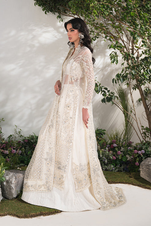 Saffron | Celeste Festive Edit 24 | Camille - by - Libasekhas UK - Registered Vendor of : Saffron - 100% Original Designer Dresss