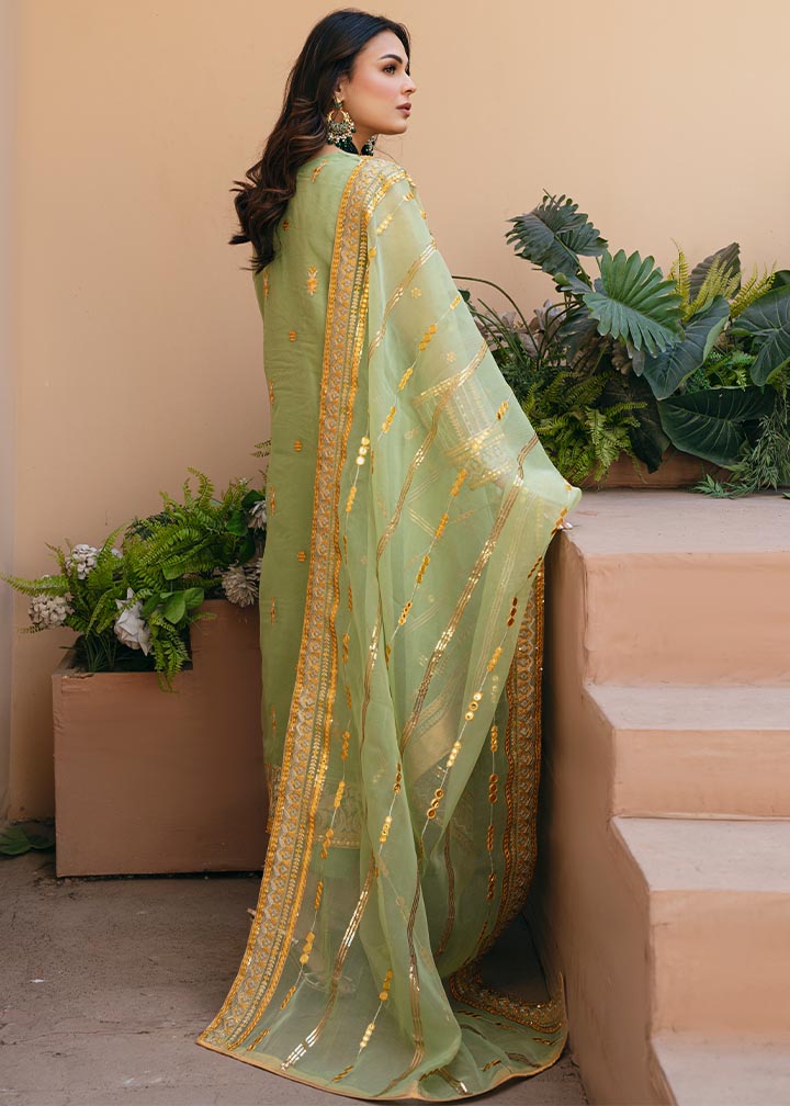 Daud Abbas | Formals Collection | Sunahri - by - Libasekhas UK - Registered Vendor of : Daud Abbas - 100% Original Designer Dresss