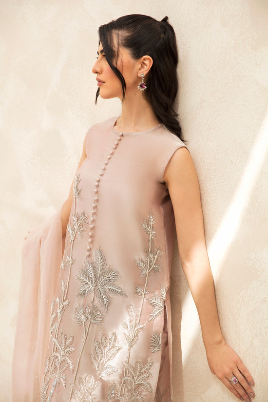 Raja Salahuddin | The Wishlist |STARLING - by - Libasekhas UK - Registered Vendor of : Raja Salahuddin - 100% Original Designer Dresss