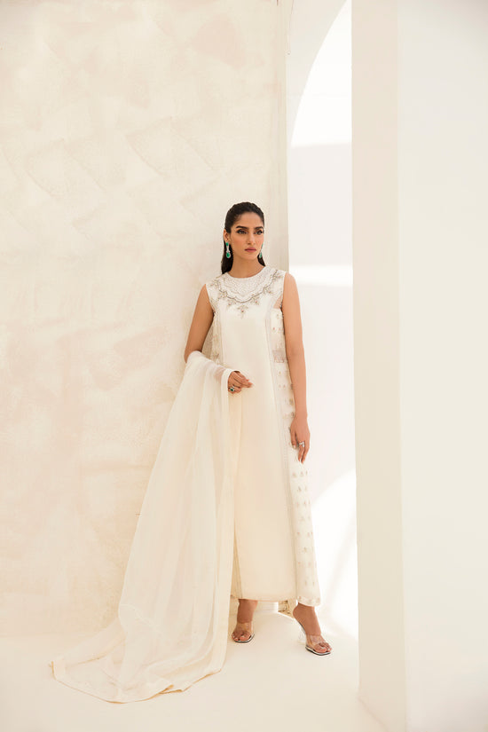 Raja Salahuddin | The Wishlist | MOONLIGHT - by - Libasekhas UK - Registered Vendor of : Raja Salahuddin - 100% Original Designer Dresss