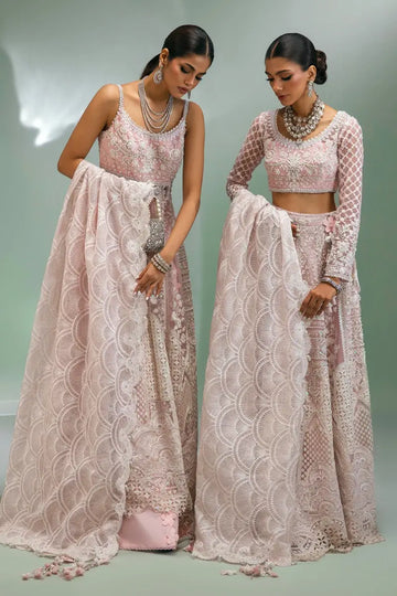 Sana Safinaz | Nura Festive 2023 | N233-002-CT - Libasekhas