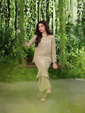Ain | Twilight The Velvet Edit | AN-186 - by Libasekhas UK - Registered Vendor of : Ain - 100% Original Designer Dress