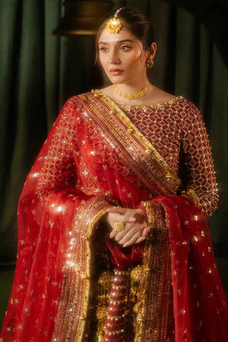 MNR | Zarlish Wedding Formals | Bia - by Libasekhas - Registered Vendor of : MNR - 100% Original Designer Dress