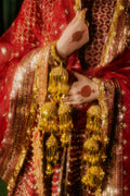 MNR | Zarlish Wedding Formals | Bia - by Libasekhas - Registered Vendor of : MNR - 100% Original Designer Dress