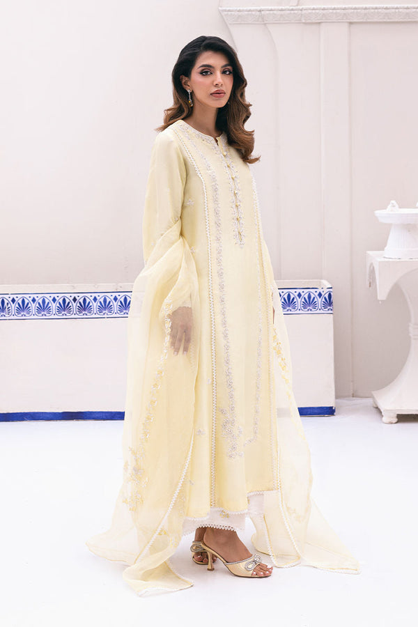 Ansab Jahangir | Luxe Pret Signature | BANEEN - by - Libasekhas UK - Registered Vendor of : Ansab Jahangir - 100% Original Designer Dresss