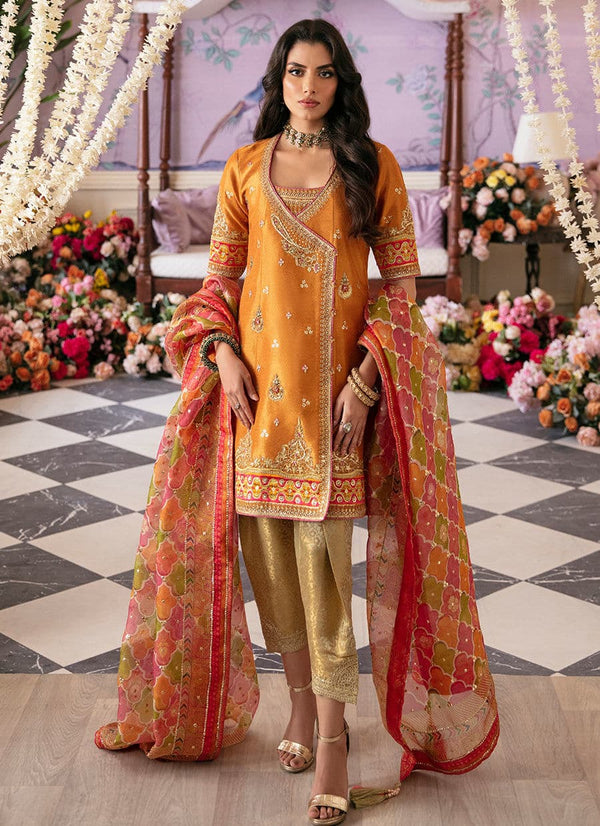 Farah Talib Aziz | Mayna Festive Luxe | Sarv - by - Libasekhas UK - Registered Vendor of : Farah Talib Aziz - 100% Original Designer Dresss