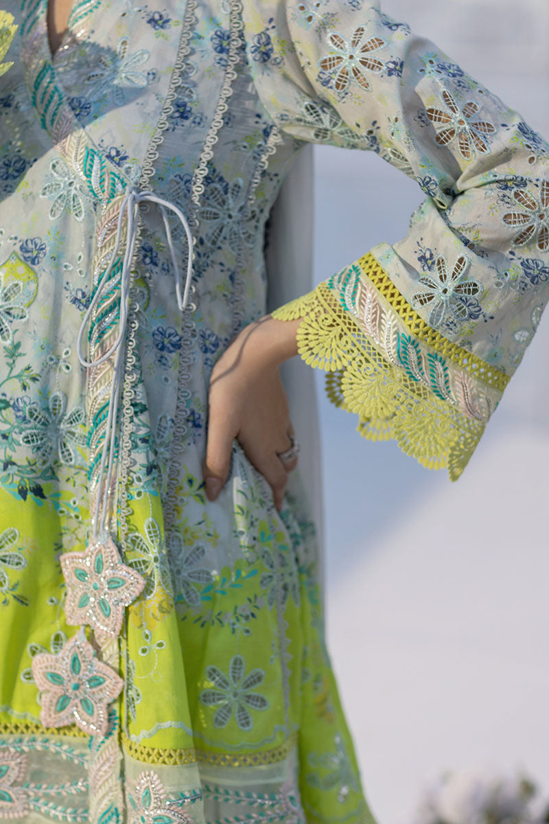 Ansab Jahangir | Wien Family Edit 25 | Kaira - by - Libasekhas UK - Registered Vendor of : Ansab Jahangir - 100% Original Designer Dresss