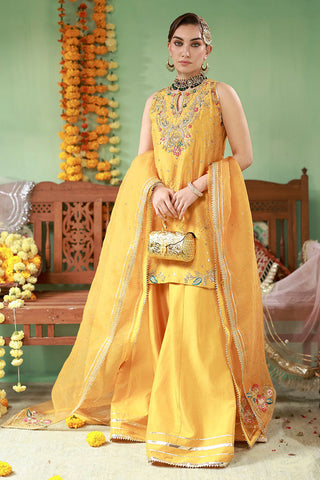Co Ord Sets