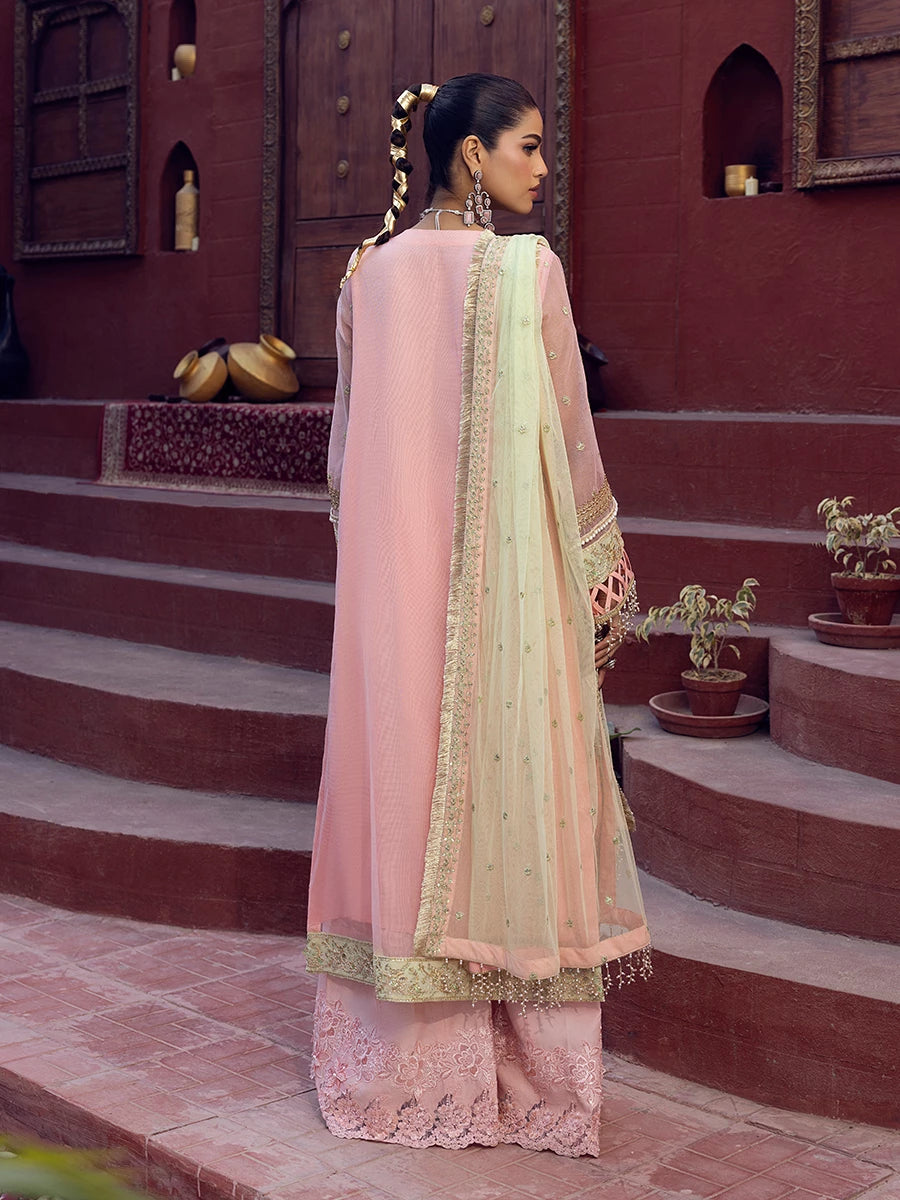 Salitex | Signature Festive Chiffon | SUNW6JI016UT - by - Libasekhas UK - Registered Vendor of : Salitex - 100% Original Designer Dresss
