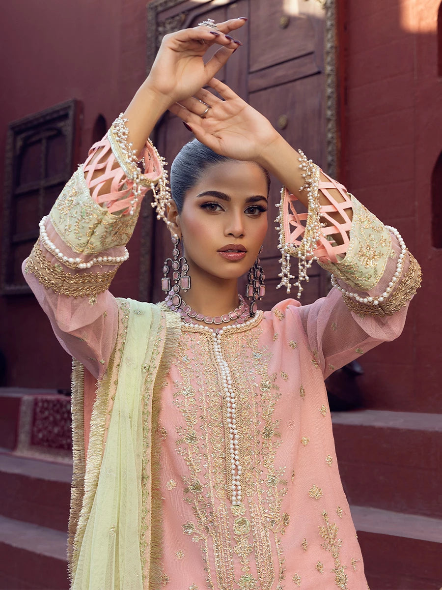 Salitex | Signature Festive Chiffon | SUNW6JI016UT - by - Libasekhas UK - Registered Vendor of : Salitex - 100% Original Designer Dresss