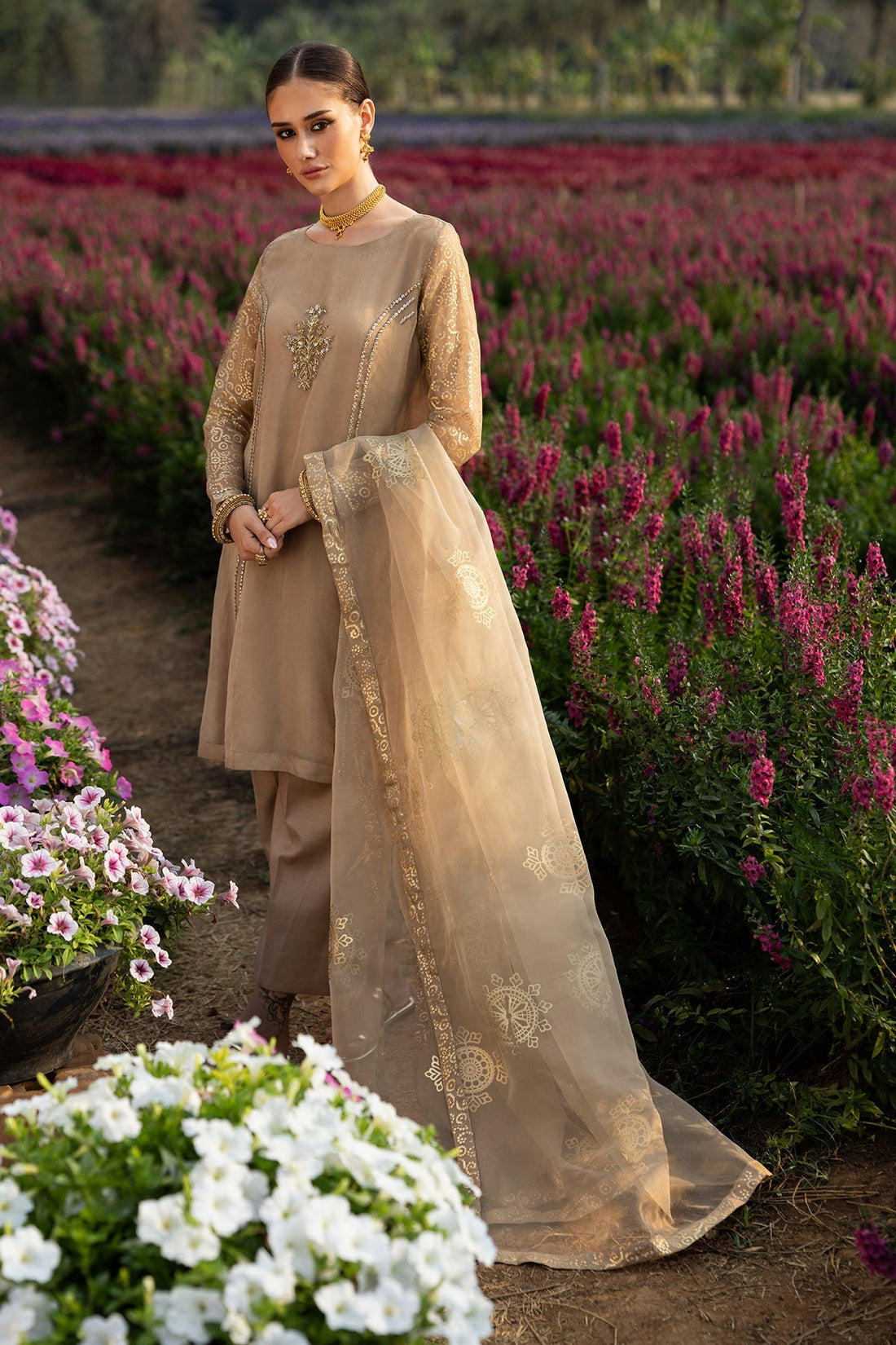 Charizma | Festive Pret | CMA-5-062 - Ladies Clothes -  Libasekhas