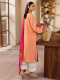 Rajbari | Amari Hybrid Jacquard Edition | Amari Jacquard - 04 - by - Libasekhas UK - Registered Vendor of : Rajbari - 100% Original Designer Dresss