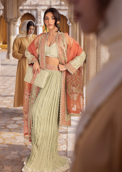 Zarizaa | Almari e Naaz | SABAZKARIYA - by Libasekhas UK - Registered Vendor of : Zarizaa - 100% Original Designer Dress