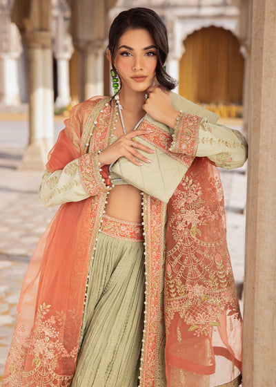 Zarizaa | Almari e Naaz | SABAZKARIYA - by Libasekhas UK - Registered Vendor of : Zarizaa - 100% Original Designer Dress