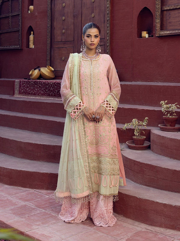 Salitex | Signature Festive Chiffon | SUNW6JI016UT - by - Libasekhas UK - Registered Vendor of : Salitex - 100% Original Designer Dresss