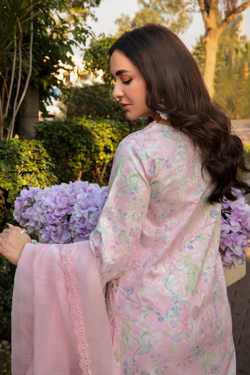 Rangrasiya | Florence Summer Edit 25 | Rania - by - Libasekhas UK - Registered Vendor of : Rangasiya - 100% Original Designer Dresss