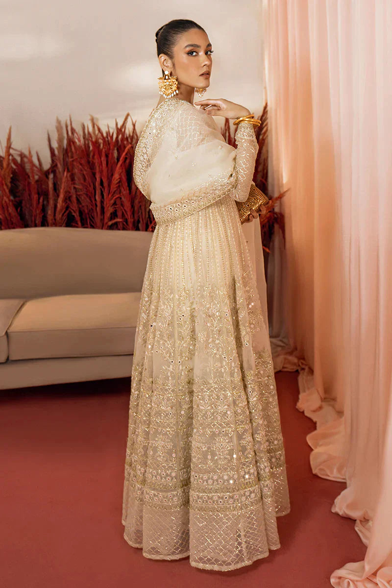 Afshan-2pc Organza Embroidered Pret