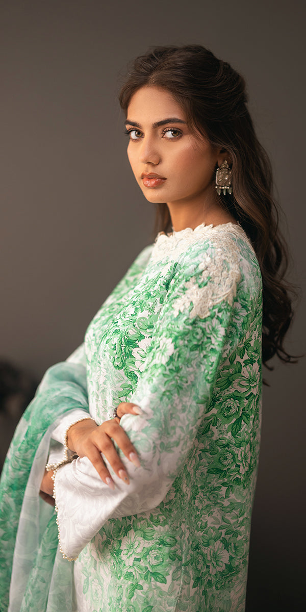 Erum Khan | Beyond Basic | VIVID ELEGANCE - by - Libasekhas UK - Registered Vendor of : Erum Khan - 100% Original Designer Dresss