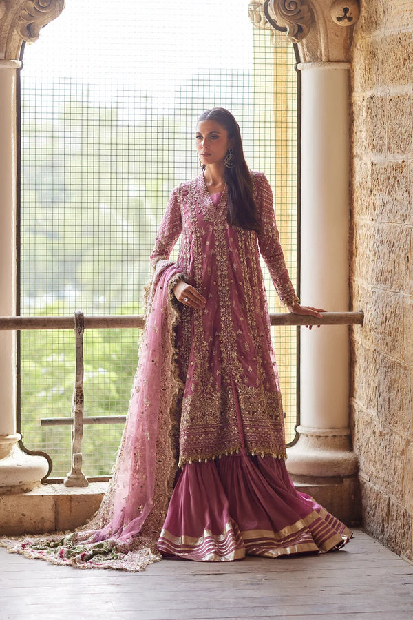 Afrozeh | DASTANGOI '26 | Falsa Garara & Gown-Riwayat