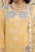 Adans Libas | Haelyn 25 | HAELYN 5 - by - Libasekhas UK - Registered Vendor of : Adans Libas - 100% Original Designer Dresss