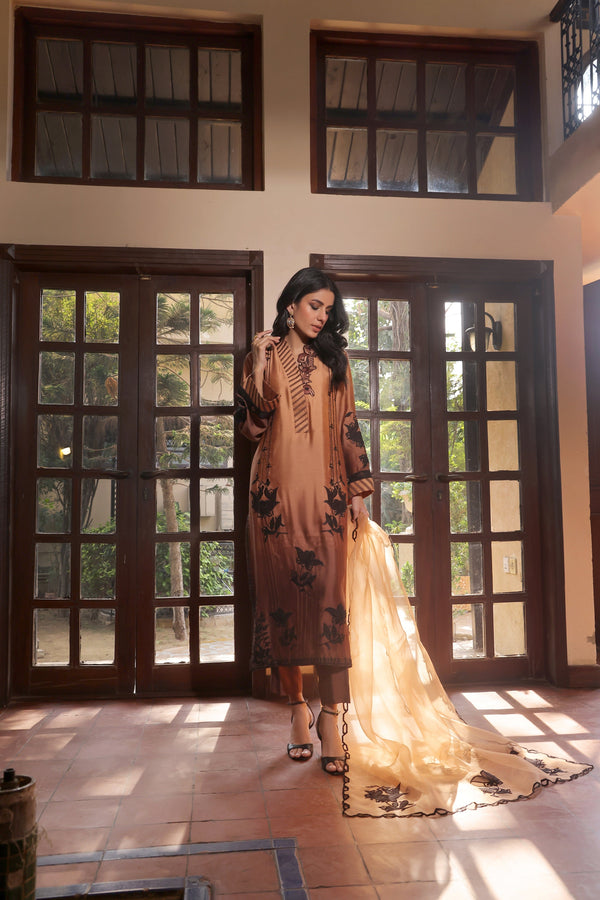 Mona Imran | Ezel Eid 25 | Ariana - by - Libasekhas UK - Registered Vendor of : Mona Imran - 100% Original Designer Dresss