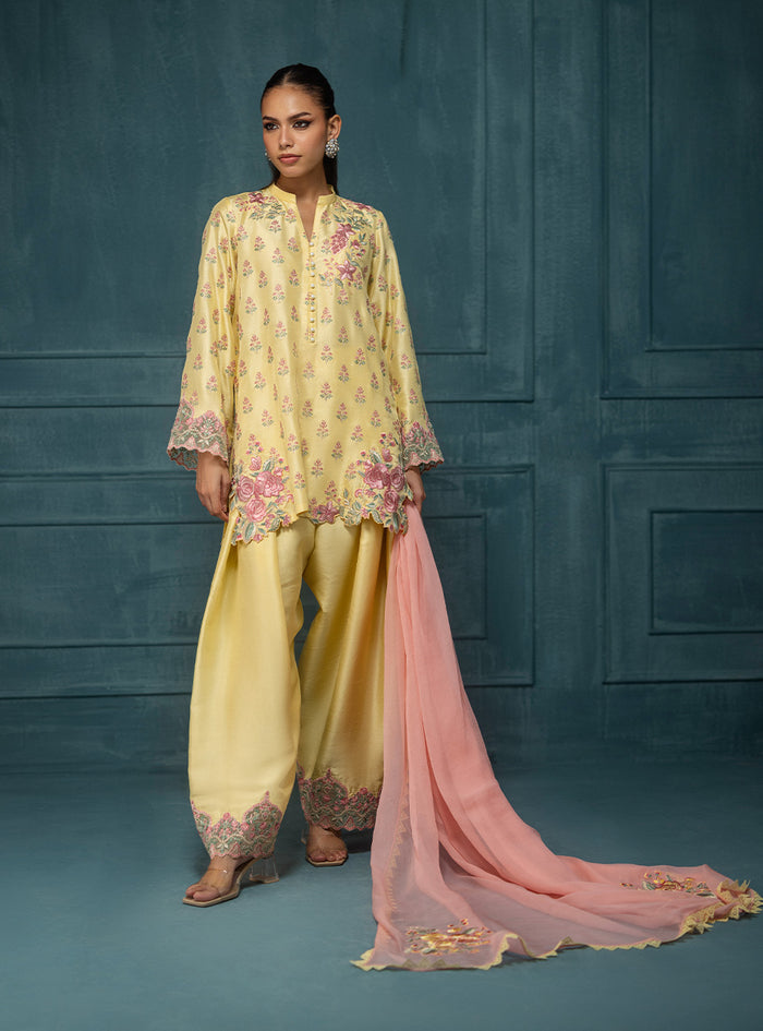 Zainab Chottani | Luxe Edit 25 | Sona - by Libasekhas UK - Registered Vendor of : Zainab Chottani - 100% Original Designer Dress