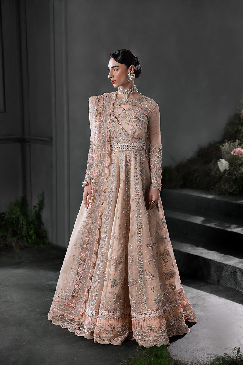 Qalamkar | Elirah Formals 25 | MF-01 LUSTRA - by Libasekhas UK - Registered Vendor of : Qalamkar - 100% Original Designer Dress