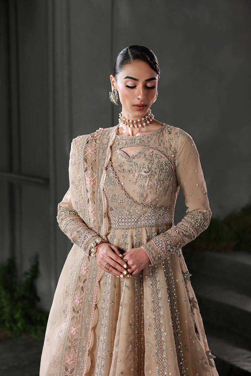 Qalamkar | Elirah Formals 25 | MF-01 LUSTRA - by Libasekhas UK - Registered Vendor of : Qalamkar - 100% Original Designer Dress
