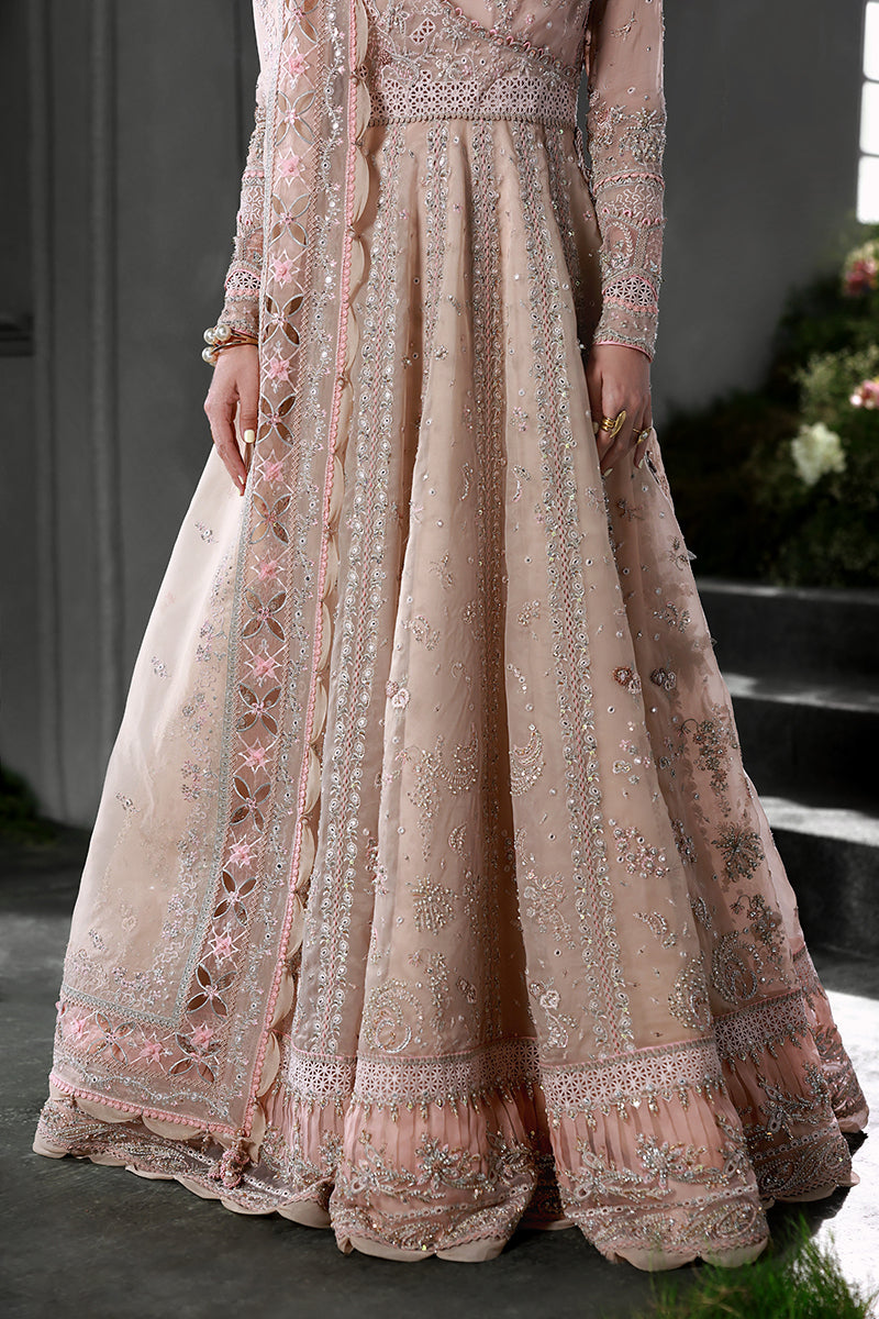 Qalamkar | Elirah Formals 25 | MF-01 LUSTRA - by Libasekhas UK - Registered Vendor of : Qalamkar - 100% Original Designer Dress