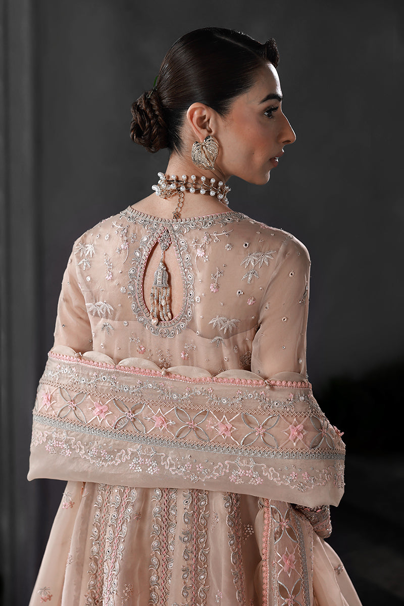 Qalamkar | Elirah Formals 25 | MF-01 LUSTRA - by Libasekhas UK - Registered Vendor of : Qalamkar - 100% Original Designer Dress