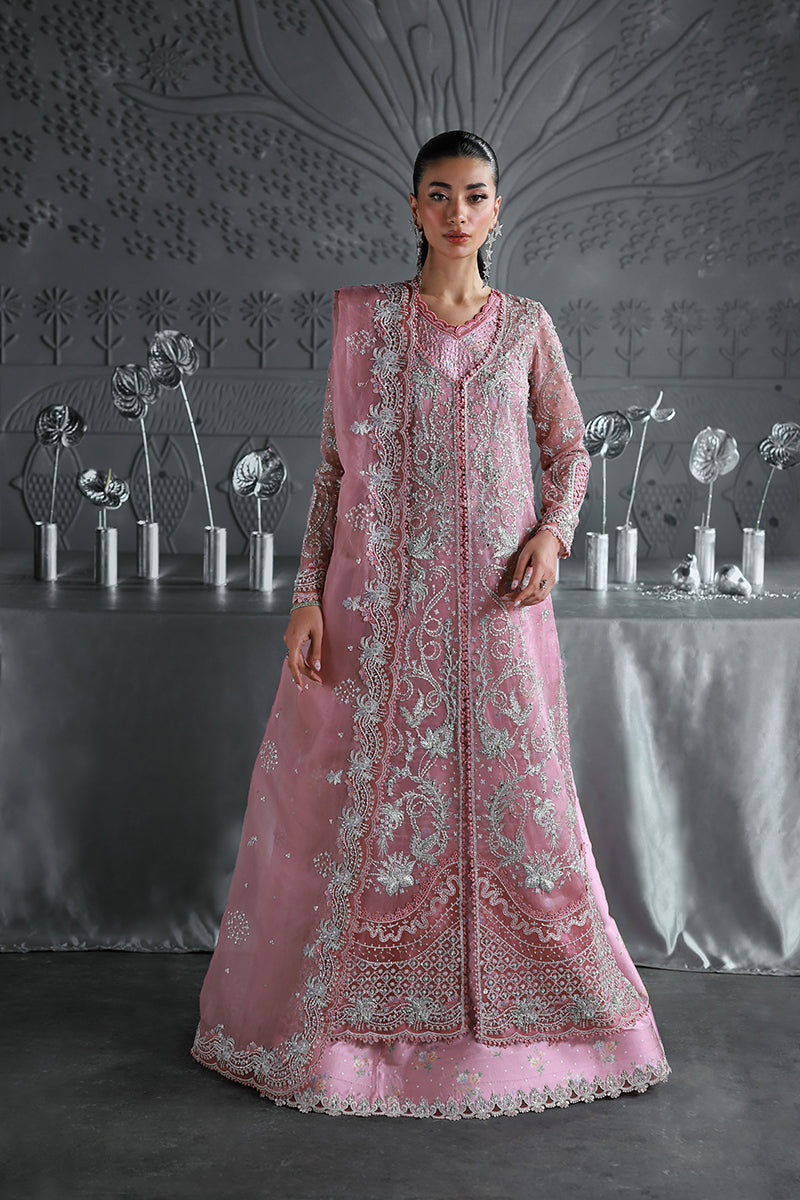 Qalamkar | Elirah Formals 25 | MF-07 ROSALYN - by Libasekhas UK - Registered Vendor of : Qalamkar - 100% Original Designer Dress