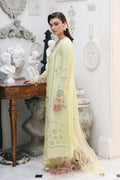 Qalamkar | Q Line Lawn Drop | RP-13 MOONSTONE - by Libasekhas UK - Registered Vendor of : Qalamkar - 100% Original Designer Dress