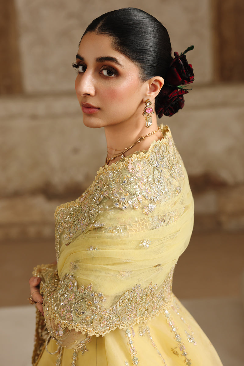 Qalamkar | Shadmaani Formals 25 | RH-06 HOOR - by Libasekhas UK - Registered Vendor of : Qalamkar - 100% Original Designer Dress