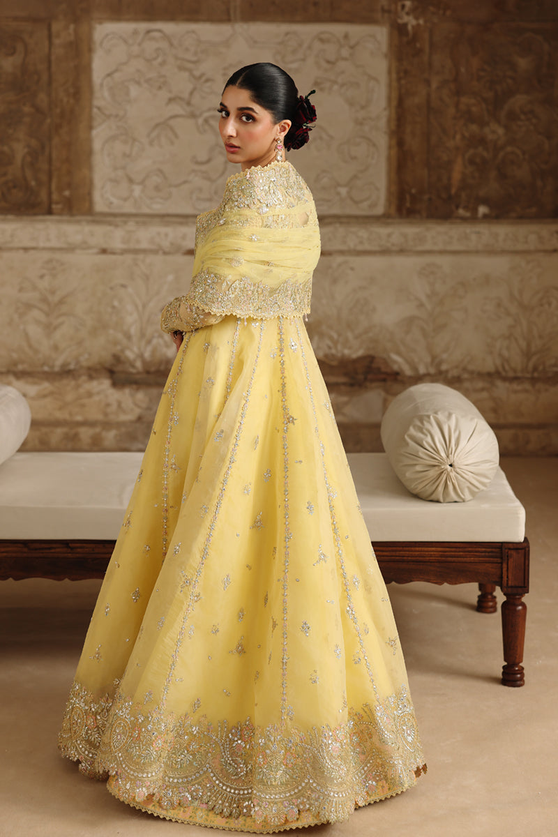 Qalamkar | Shadmaani Formals 25 | RH-06 HOOR - by Libasekhas UK - Registered Vendor of : Qalamkar - 100% Original Designer Dress