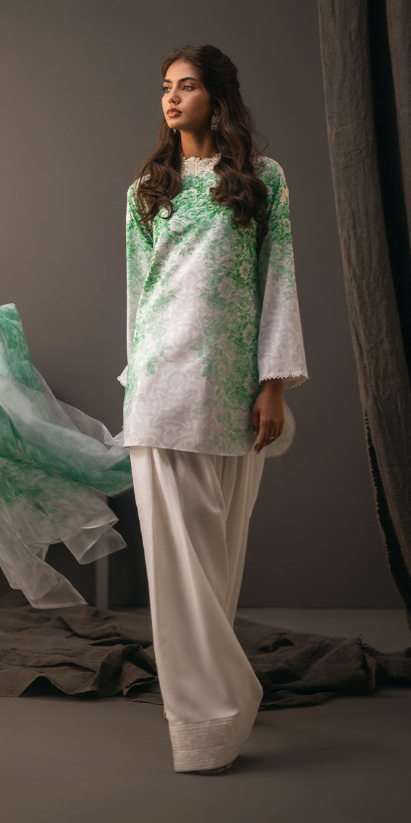 Erum Khan | Beyond Basic | VIVID ELEGANCE - by - Libasekhas UK - Registered Vendor of : Erum Khan - 100% Original Designer Dresss