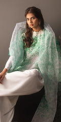 Erum Khan | Beyond Basic | VIVID ELEGANCE - by - Libasekhas UK - Registered Vendor of : Erum Khan - 100% Original Designer Dresss