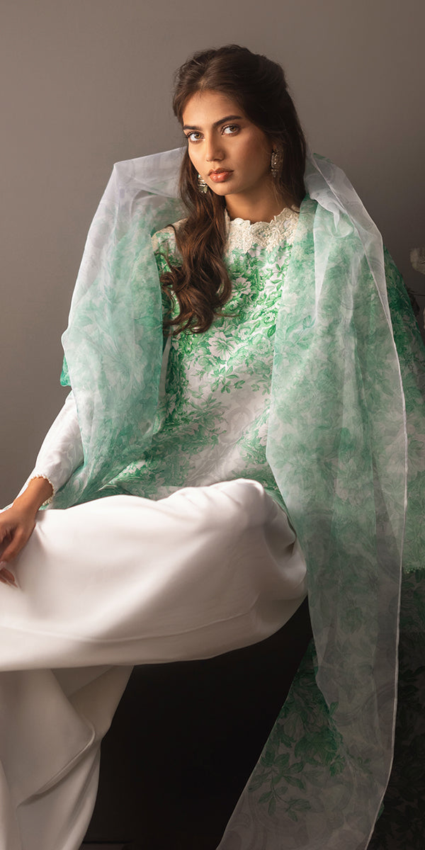 Erum Khan | Beyond Basic | VIVID ELEGANCE - by - Libasekhas UK - Registered Vendor of : Erum Khan - 100% Original Designer Dresss