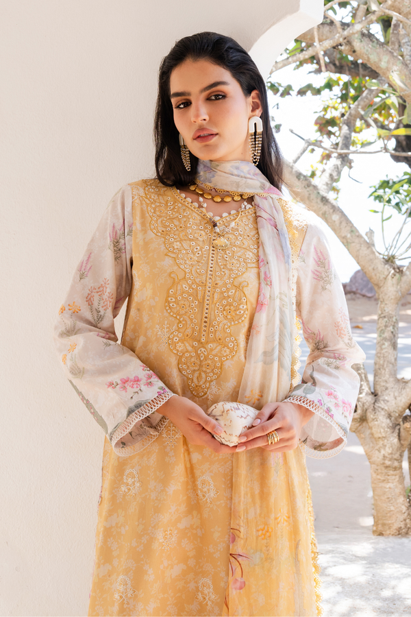 Aabyaan | Shezlin Chikankari 26 | NURAYA (AZ-10) - by Libasekhas UK - Registered Vendor of : Aabyaan - 100% Original Designer Dress