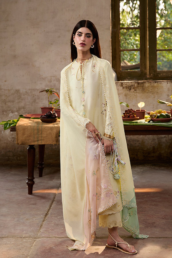 Suffuse | Basic Summer 25 | AMAAH - by Libasekhas UK - Registered Vendor of : Suffuse - 100% Original Designer Dress