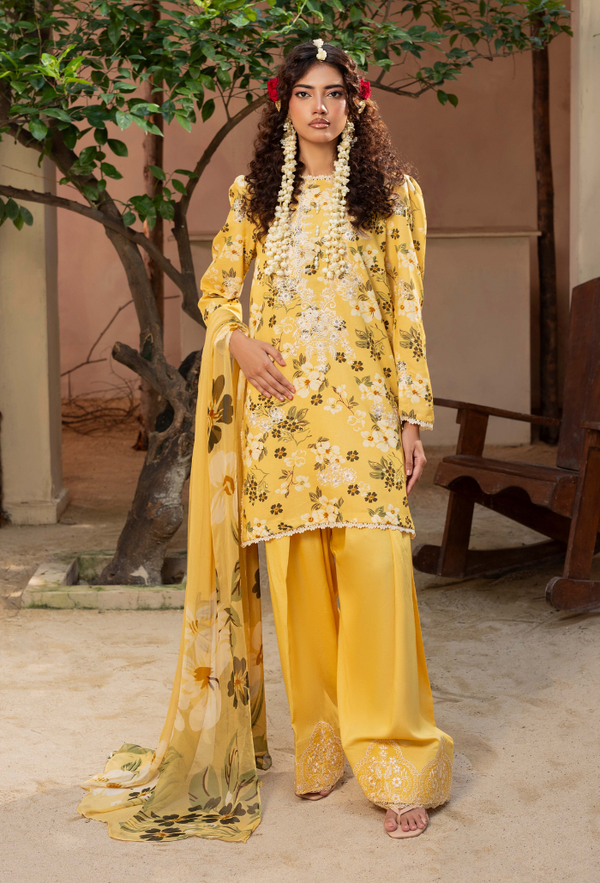 Humdum | Zaiba 25 | D03 - by Libasekhas UK - Registered Vendor of : Humdum - 100% Original Designer Dress