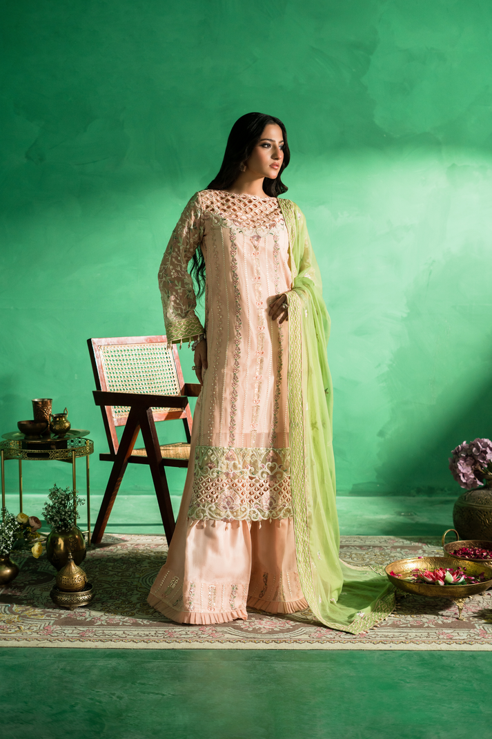 Zebtan | Farmaish Formals | FC-08 - by - Libasekhas UK - Registered Vendor of : Zebtan - 100% Original Designer Dresss