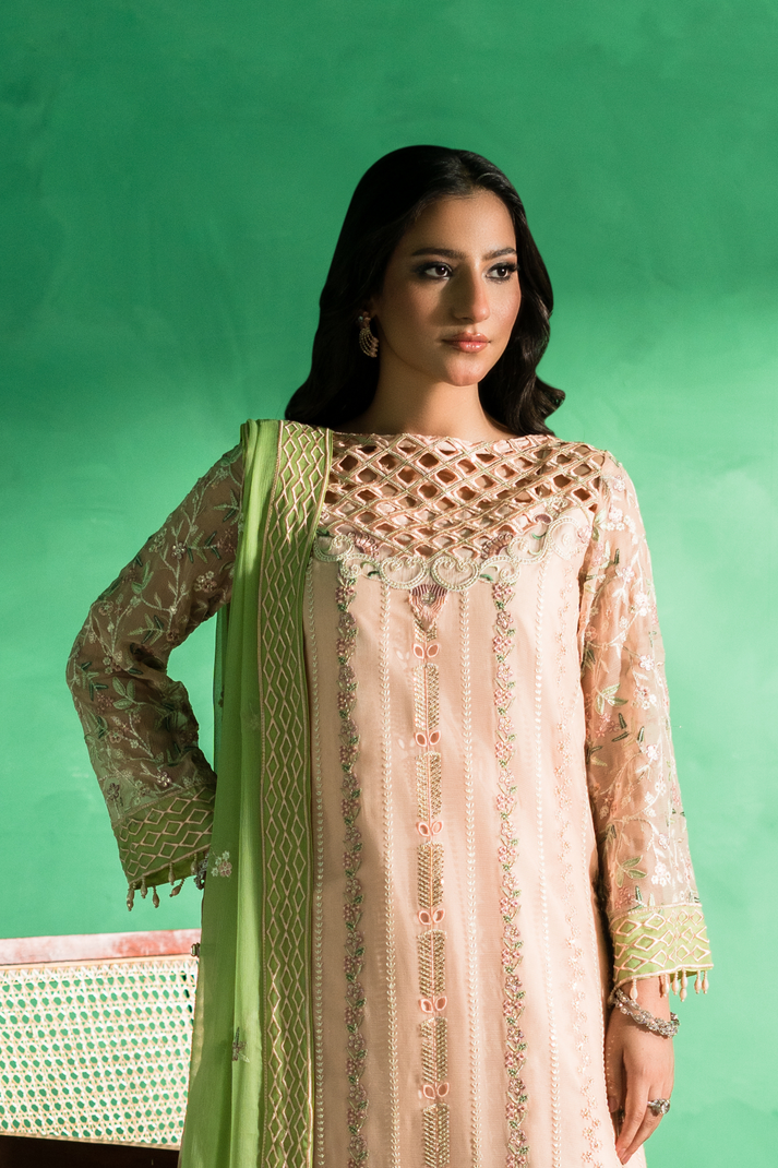 Zebtan | Farmaish Formals | FC-08 - by - Libasekhas UK - Registered Vendor of : Zebtan - 100% Original Designer Dresss