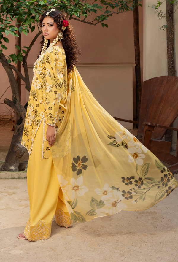Humdum | Zaiba 25 | D03 - by Libasekhas UK - Registered Vendor of : Humdum - 100% Original Designer Dress