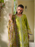 Bin Ilyas | Heritage Dore | 172-B - by Libasekhas UK - Registered Vendor of : Bin Ilyas - 100% Original Designer Dress