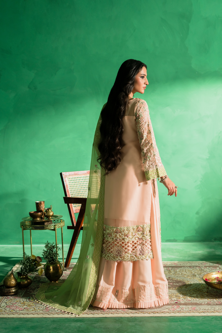 Zebtan | Farmaish Formals | FC-08 - by - Libasekhas UK - Registered Vendor of : Zebtan - 100% Original Designer Dresss