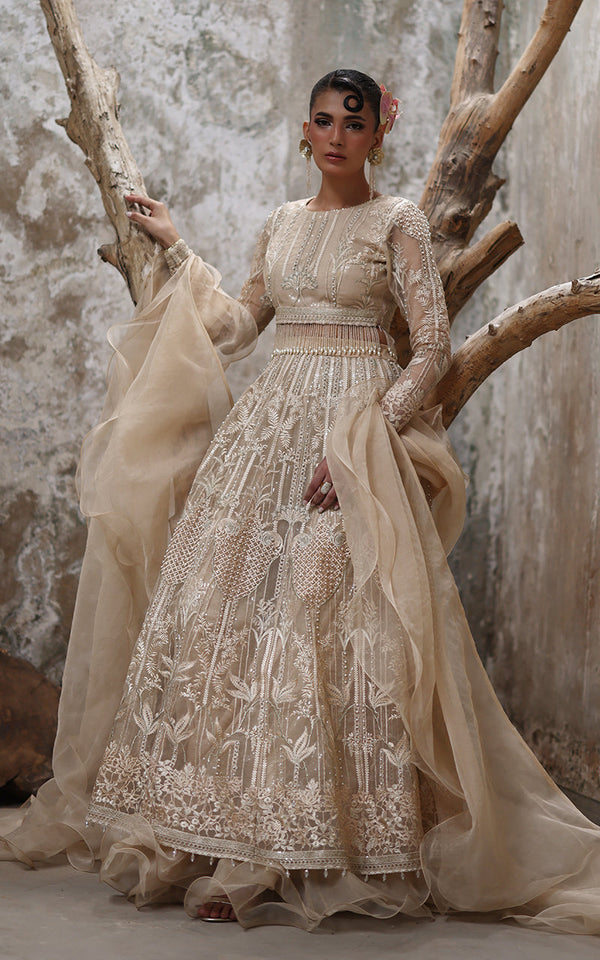 Threads and Motifs | Formal Dresses 25 | Organza Embroidered Blouse And Lehenga - by Libasekhas UK - Registered Vendor of : Threads and Motifs - 100% Original Designer Dress