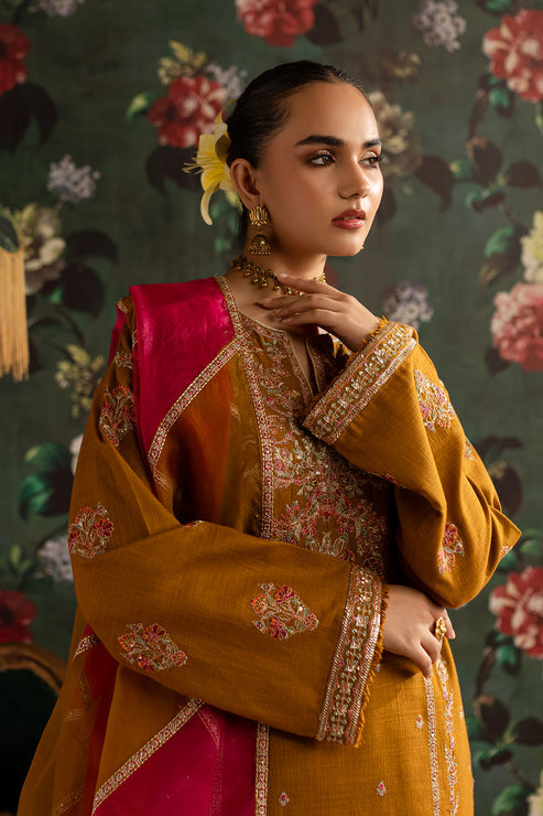 Emaan Adeel | Rangrez Collection | ARZOO - by - Libasekhas UK - Registered Vendor of : Emaan Adeel - 100% Original Designer Dresss