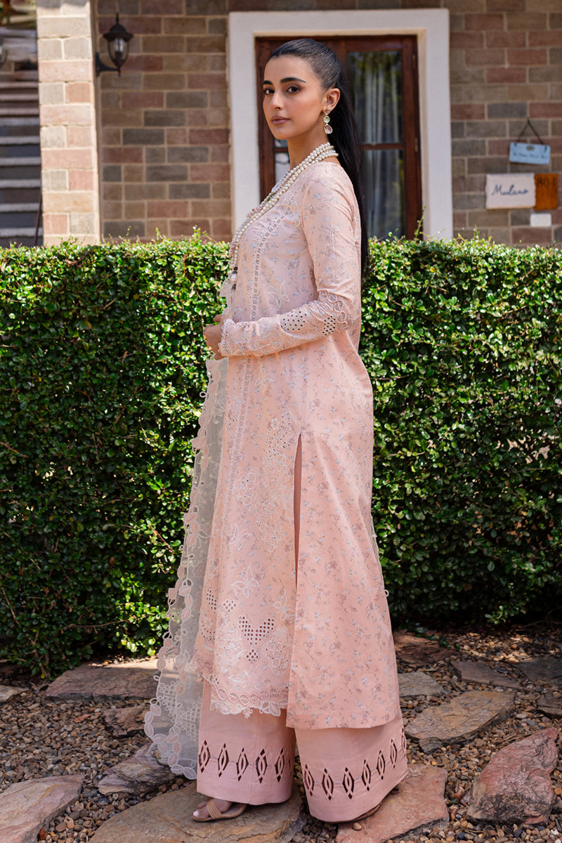 Qalamkar | Q Line Lawn 25 | QM-12 Miso - by - Libasekhas UK - Registered Vendor of : Qalamkar - 100% Original Designer Dresss